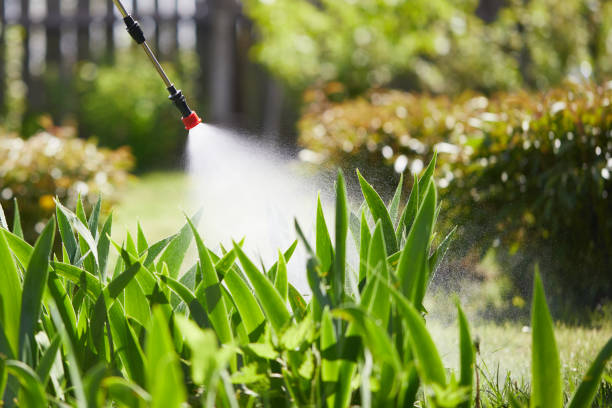 24/7 Emergency Mosquito Control experts in Marco Island, FL