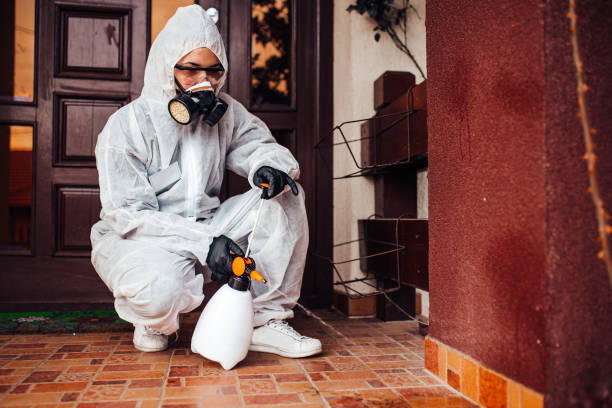 Reliable Mosquito Control contractor in Marco Island, FL by Show Me Pest Control